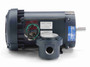 119436.00 Leeson 1 hp 3600 RPM 230/460V 56C Frame TEFC Explosion-Proof (Rigid Base) 3-Phase Motor