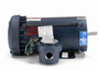 119438.00 Leeson 1 hp 1800 RPM 230/460V 56C Frame TEFC Explosion-Proof (Rigid Base) 3-Phase Motor