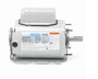 A099836.00 Leeson 1/2 hp 900 RPM 115/230V 48YZ Frame (Resilient Base) TEAO 1-Phase Farm Fan Motor
