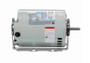 103796.00 Leeson 1/2 hp 1800 RPM 115V 48Z Frame (Resilient Base) ODP 1-Phase Fan Motor