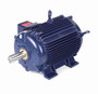 824561.00 Leeson 30 hp 1200 RPM 230/460V 326TV Frame (Rigid Base) TEAO 3-Phase Cast Iron Motor