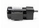 096066.00 Leeson 1/4 hp 29 RPM 208-230/460 VAC 42Y Frame (No Base) TEFC 3-Phase AC Controllable Gearmotor