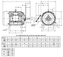HD10P3G Nidec 10 hp 1200 RPM 256T Frame (Rigid Base) 575V TEFC 3-Phase Electric Motor
