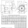 WD15P1DFC Nidec 15 hp 3600 RPM 215TC Frame (Rigid Base) 208-230/460V TEFC 3-Phase Washdown Motor