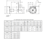 WD7P2DCR Nidec 7 1/2 hp 1800 RPM 213TC Frame (No Base) 208-230/460V TEFC 3-Phase Washdown Motor