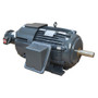 B75T2B Nidec 75 hp 1800 RPM 365T (Rigid Base) 230/460V TEBC Vector-Duty 3-Phase Motor