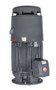 HT75P2CLG Nidec 75 hp 1800 RPM 460V 3-phase 365TP Frame TEFC Vertical Holloshaft Sinewave Motor