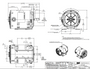 FX13BK001 | 1/3 HP 3600 RPM 56C 208-230/460V 3 Phase ODP, FLEX-IN-1 Marathon Electric Motor