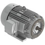 EP0036C TECO Westinghouse 3 hp 1200 RPM 213TC Cast Iron 230/460V TEFC Severe Duty 3-Phase Motor