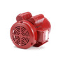 110090.00 Leeson |  2 hp 1725 RPM 56HZ Frame TEFC (Farm Duty) 230 volts