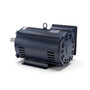 141430.00 Leeson |  10 hp 1725 RPM 215TZ Frame 230 Volts Open Drip