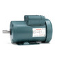 113770.00 Leeson |  2 hp 1725 RPM 56HZ Frame TEFC 230 Volts