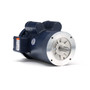 120824.00 Leeson |  3 hp 3600 RPM 145TC Frame TEFC C-Face (no base) 230V