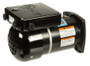 Century Electric VGREEN® EVQ225  2.25HP Variable Speed Pool Pump Motor 48Y Square Flange 115/230 Volt