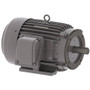 NP0202C TECO-Westinghouse 20 hp 3600 RPM 256TC 230/460V TEFC Severe Duty Petro-Chem 3-Ph Motor