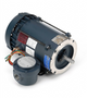 LEESON 116606.00 .33 HP 1800 RPM 56C FRAME EXPLOSION PROOF MOTOR