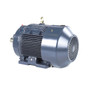 GT1030A Marathon 30 hp 3600 RPM 286TS Frame 230/460V TEFC Marathon Electric Motor