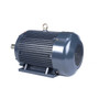 GT1034A Marathon 40 hp 1800 RPM 324T Frame 230/460V TEFC Marathon Electric Motor