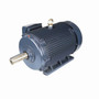 GT1049A Marathon 125 hp 1800 RPM 444T Frame 460V TEFC Marathon Electric Motor