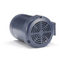 120097.00 Leeson |  3/4 hp 1140 RPM 143TC Frame TEFC C-Face (No Base) 208-230/460V