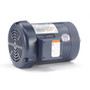 120097.00 Leeson |  3/4 hp 1140 RPM 143TC Frame TEFC C-Face (No Base) 208-230/460V