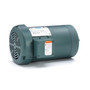 122171.00 Leeson |  3 hp 3600 RPM 145TC Frame TEFC C-Face (No Base) 230/460V