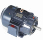 GT1224A Marathon 20 hp 3600 RPM 256TC Frame TEFC C-Face (Rigid Base) 230/460V Marathon Electric Motor