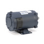 108050.00 Leeson |  1/3 hp 1800 RPM 56C Frame 24 Volts DC TENV