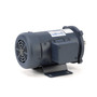 098382.00 Leeson |  1/2 hp 1800 RPM 56C Frame 48 Volts DC TEFC