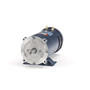 109104.00 Leeson |  1.5 hp 1800 RPM 56CZ Frame 36 Volts DC TEFC
