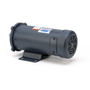 098032.00 Leeson |  3/4 hp 1800 RPM 90 Volts DC 56C Frame TEFC