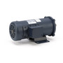 098069.00 Leeson |  3/4 hp 1800 RPM 180 Volts DC 56C Frame TEFC