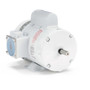 112626.00 Leeson |  1 hp 1800 RPM 56 Frame 115/208-230 Volts Wash Down Duty