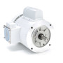 114311.00 Leeson |  1/3 hp 1800 RPM 56C Frame (no base) C-Face 115/208-230V Wash Down Duty