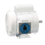 112526.00 Leeson |  1/3 hp 1800 RPM 56C Frame (Rigid Base) C-Face 115/208-230V Wash Down Duty