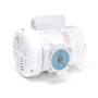 112529.00 Leeson |  1 hp 1800 RPM 56C Frame (Rigid Base) C-Face 115/208-230V Wash Down Duty