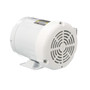 112428.00 Leeson |  3/4 hp 1800 RPM 56 Frame 208-230/460 Volts Wash Down Duty
