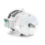132196.00 Leeson |  3 hp 1800 RPM 182T Frame 230/460V Wash Down Duty