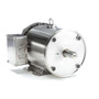 132203.00 Leeson |  3 hp 3600 RPM 182TC Frame 230/460V Stainless Steel