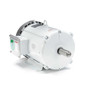 140819.00 Leeson |  7.5 hp 1800 RPM 213T Frame 230/460V Wash Down Duty