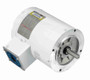 113019.00 Leeson |  3/4 hp 1800 RPM 56C Frame TENV (no base) C-Face 208-230/460V Wash Down Duty