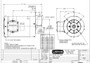 113019.00 Leeson |  3/4 hp 1800 RPM 56C Frame TENV (no base) C-Face 208-230/460V Wash Down Duty