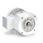 112547.00 Leeson |  1/3 hp 1800 RPM 56C Frame TEFC 208-230/460V Wash Down Duty
