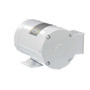 113586.00 Leeson |  1/2 hp 1800 RPM 56C Frame TENV 208-230/460V Wash Down Duty