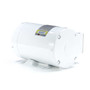 113590.00 Leeson |  1 hp 3600 RPM 56C Frame TENV 230/460V Wash Down Duty