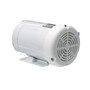 119476.00 Leeson |  1 hp 1800 RPM 56C Frame TEFC 208-230/460V Wash Down Duty
