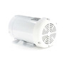 122185.00 Leeson |  2 hp 3600 RPM 145TC Frame TEFC 208-230/460V Wash Down Duty