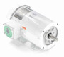 121868.00 Leeson |  2 hp 1800 RPM 145TC Frame TEFC 230/460V Wash Down Duty