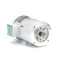 121870.00 Leeson |  3 hp 3600 RPM 145TC Frame TEFC 230/460V Wash Down Duty