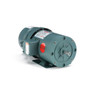 119563.00 Leeson |  1 hp 1800 RPM 56C Frame TEFC C-Face (Rigid Base) Brake Motor 208-230/460V